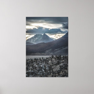 Nature's Symphony: A Portrait of Ushuaia's Wild Be Canvas Print