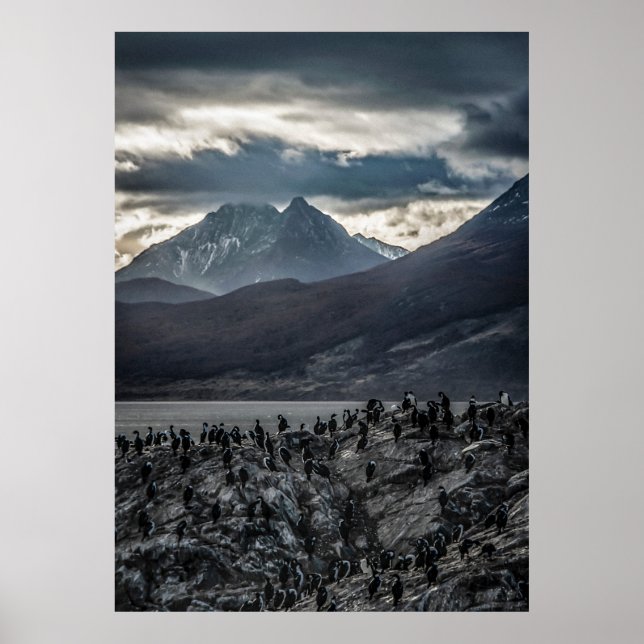 Nature's Symphony: A Portrait of Ushuaia's Wild Be Poster (Front)