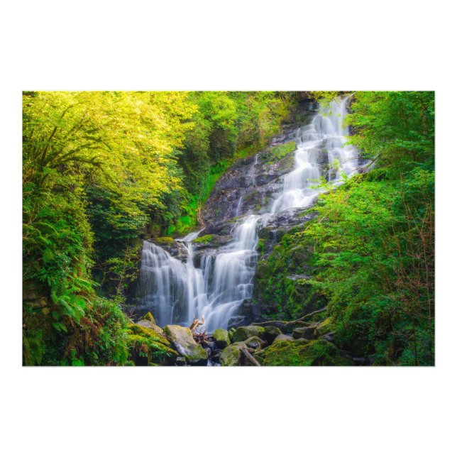 Nature's Symphony: The Cascades of Killarney Photo Print (Front)