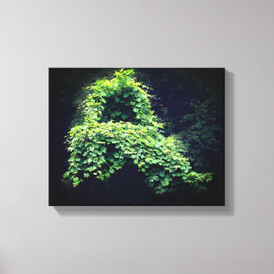 Nature's Throne Wild Leafy Vines  Canvas Print
