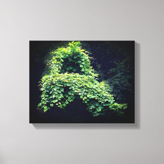Nature's Throne Wild Leafy Vines  Canvas Print (Front)