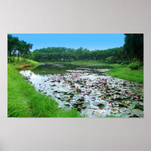 Nature's touch poster