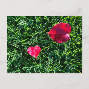 Natures valentine: heart shaped red leaf holiday postcard