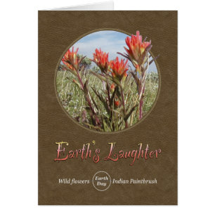 Nature's Wildflower Indian Paintbrush
