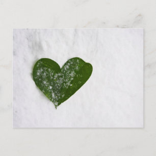 Nature's Winter Snow Romantic Heart of Love Postcard