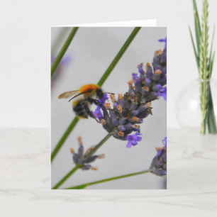 Natures Wonderful Workers Card