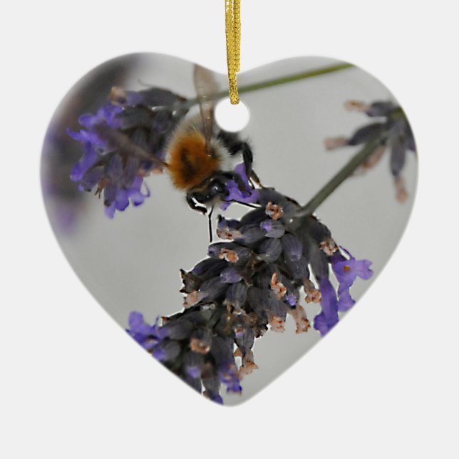 Natures Wonderful Workers Ceramic Tree Decoration (Front)