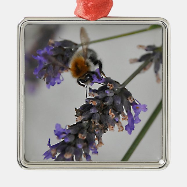 Natures Wonderful Workers Metal Tree Decoration (Front)