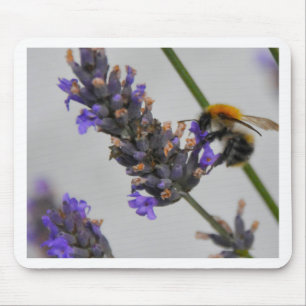 Natures Wonderful Workers Mouse Pad