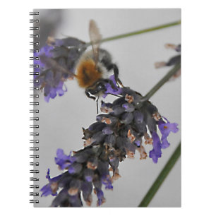 Natures Wonderful Workers Notebook
