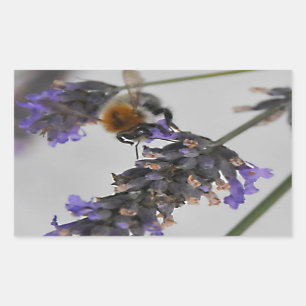 Natures Wonderful Workers Rectangular Sticker