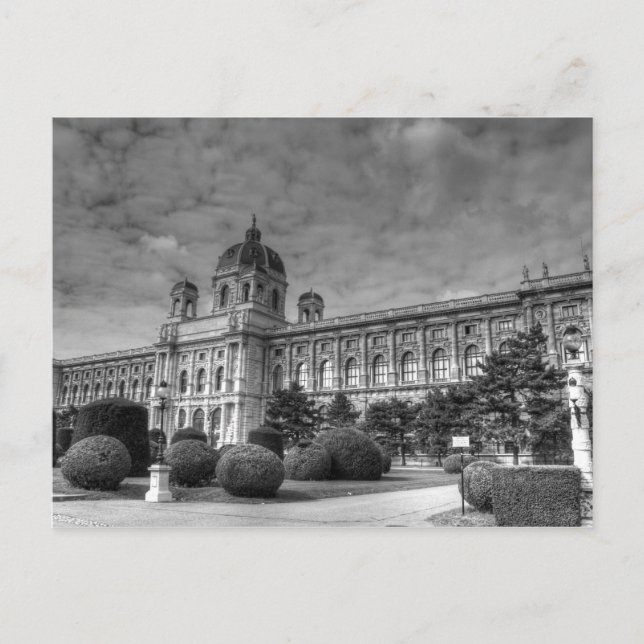 Naturhistorisches Museum Postcard (Front)