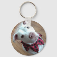 Nauga le chien blanc