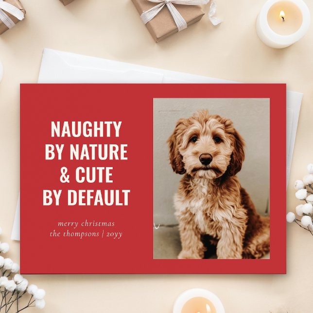 Naughty and Cute Funny Dog Christmas Photo Holiday Card (Creator Uploaded)