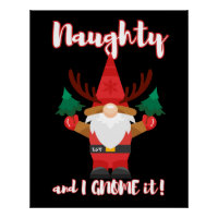 NAUGHTY AND I GNOME IT funny christmas