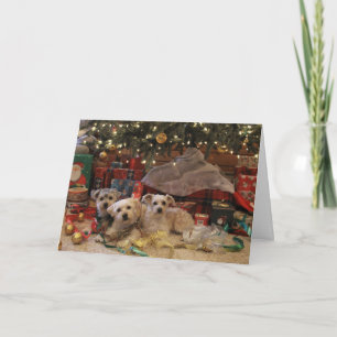 Naughty and nice pups holiday card