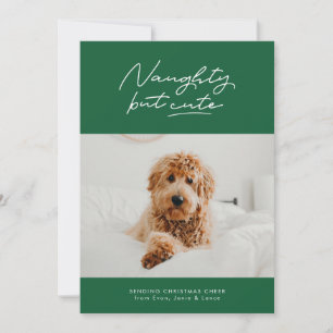Naughty but cute funny holiday photo card