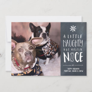 Naughty But Nice Pet Photo Holiday Card