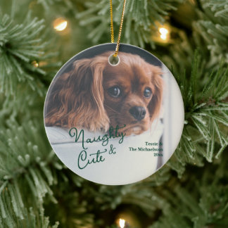 Naughty & Cute Pet Photo Ceramic Tree Decoration