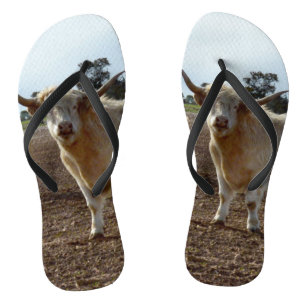 Naughty Highland Cow, Jandals