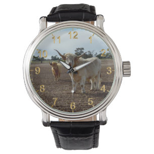 Naughty Highland Cows Ate Crop, Mens Watch