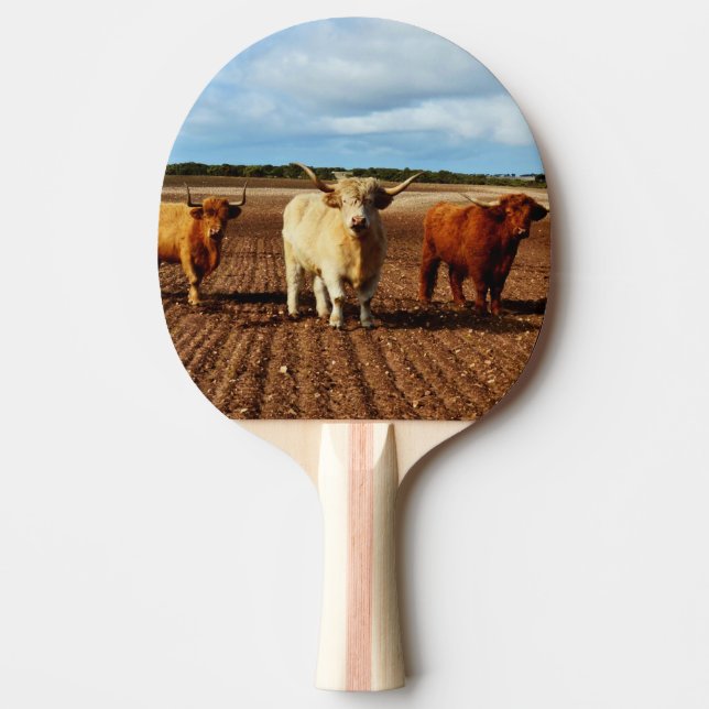 Naughty Highland Cows, Ping Pong Paddle (Front)