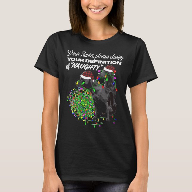 Naughty Labrador Retriever Merry Christmas For Lab T-Shirt (Front)
