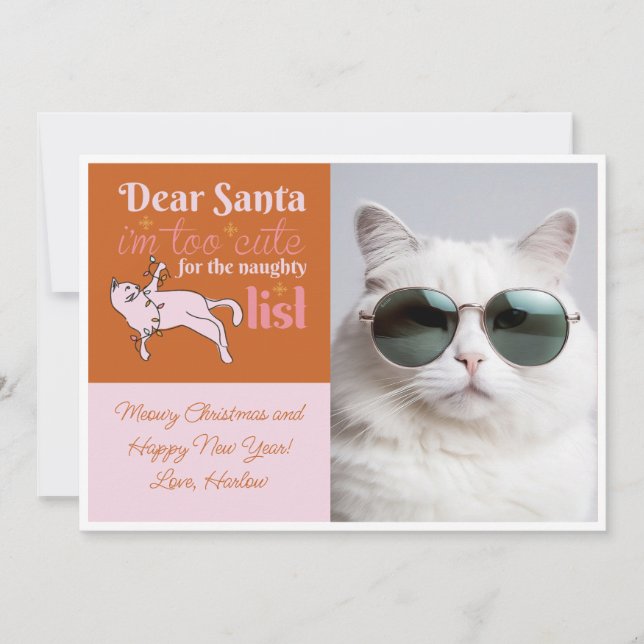 Naughty List Cute Cat Photo Two Tone Holiday Card (Front)