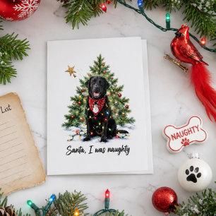 Naughty List Cute Pet Dog Christmas Holiday Card