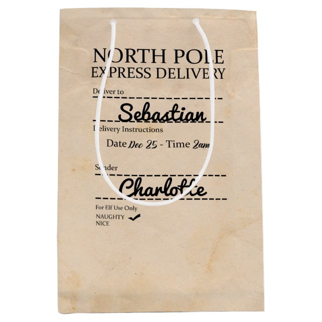 Naughty List North Pole Express Delivery Christmas Medium Gift Bag (Front)
