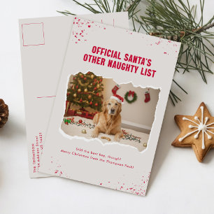 Naughty List Santa Hat Dog Photo Christmas Postcard