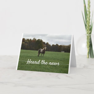 NAUGHTY LIST SO NO HAY FOR YOU THIS CHRISTMAS! HOLIDAY CARD