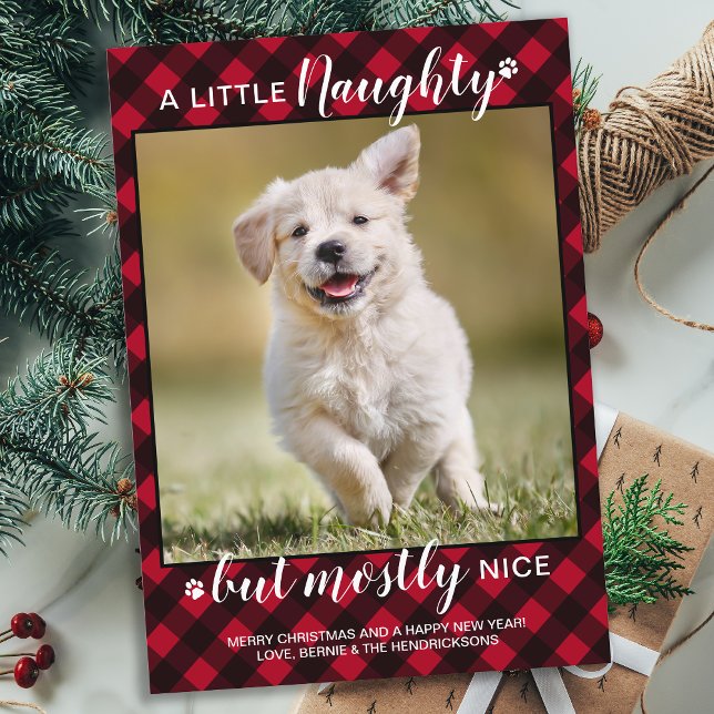 Naughty Nice Personalised Red Plaid Dog Pet Photo Holiday Card (Creator Uploaded)