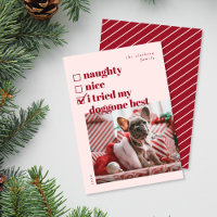 Naughty, Nice, Tried my Doggone Best