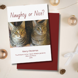 Naughty or Nice Cute Cats Photo Christmas Holiday Card