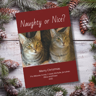 Naughty or Nice Cute Cats Photo Red Christmas Holiday Card