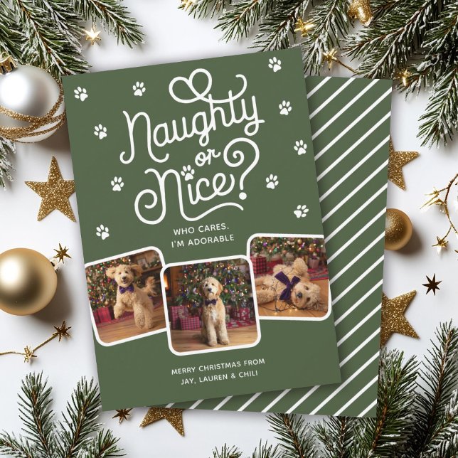 Naughty or Nice Funny Cute Pet Dog Cat 3 Photo  Holiday Card (Creator Uploaded)