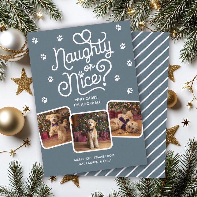 Naughty or Nice Funny Cute Pet Dog Cat 3 Photo  Holiday Card (Creator Uploaded)