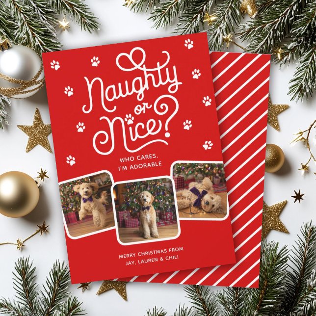 Naughty or Nice Funny Cute Pet Dog Cat 3 Photo  Holiday Card (Creator Uploaded)