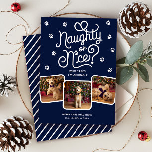 Naughty or Nice Funny Cute Pet Dog Cat 3 Photo  Holiday Card