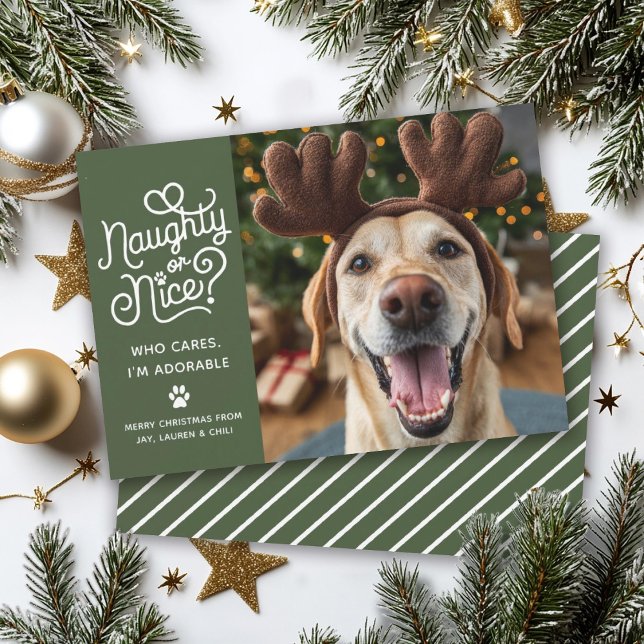 Naughty or Nice Funny Cute Pet Dog Cat Photo Holiday Card (Creator Uploaded)