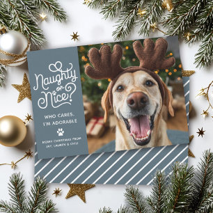 Naughty or Nice Funny Cute Pet Dog Cat Photo Holiday Card