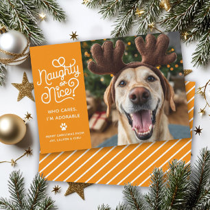 Naughty or Nice Funny Cute Pet Dog Cat Photo Holiday Card