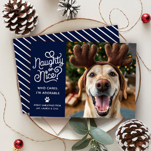 Naughty or Nice Funny Cute Pet Dog Cat Photo Holiday Card