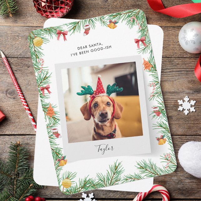 Naughty or Nice Funny Dog Photo Christmas Holiday Card (Naughty or Nice Funny Dog Photo Christmas Holiday Card)