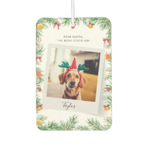 Naughty or Nice Funny Pet Dog Custom Christmas Car Air Freshener