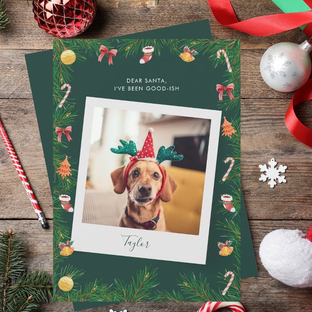 Naughty or Nice Funny Pet Dog Custom Christmas Holiday Card (Naughty or Nice Funny Pet Dog Custom Christmas Holiday Card)