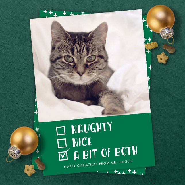 Naughty OR Nice OR Both Funny Pet Holiday Photo (Creator Uploaded)