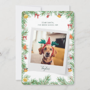 Naughty or Nice Pet Dog Photo Custom Christmas Holiday Card