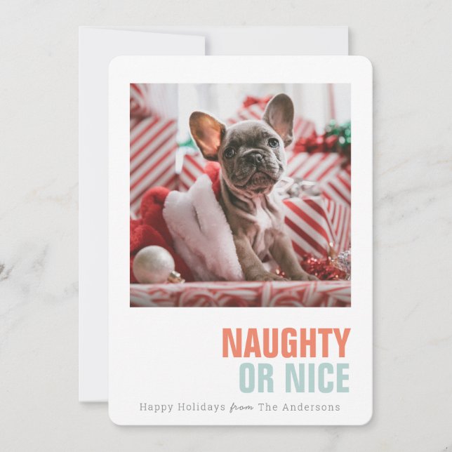 Naughty or Nice Simple Pet Holiday Photo Card (Front)